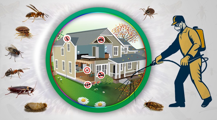 Sarıçam Böcek İlaçlama