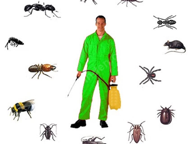 Sarıçam Böcek İlaçlama